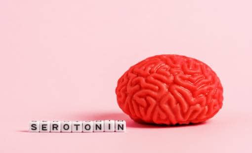 Melatonin, Serotonin & Sleep. 1 Image for article Melatonin, Serotonin & Sleep.